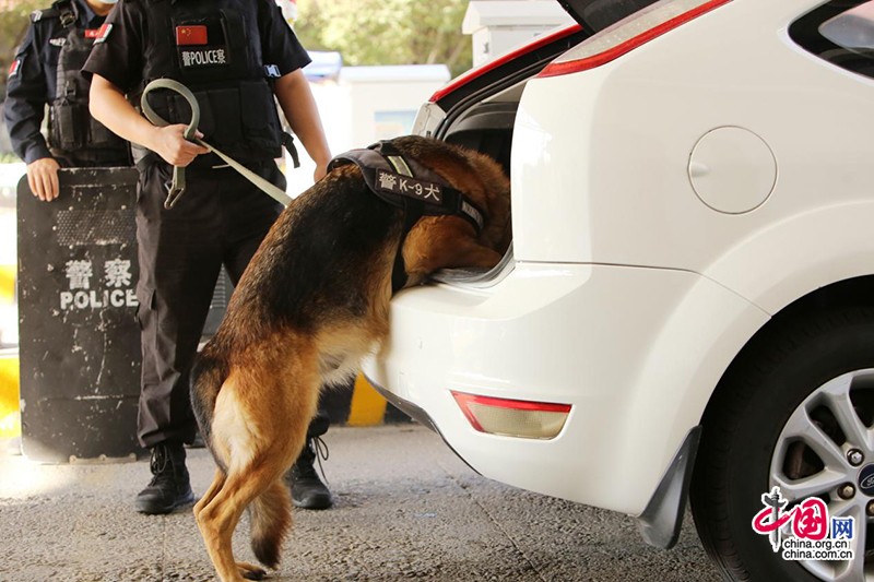 新疆霍尔果斯警犬助力巡逻防控